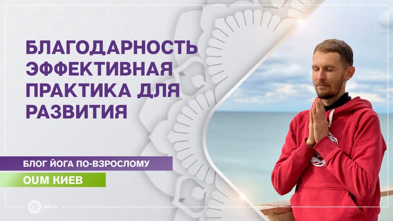 Благодарность и принятие как эффективная практика для