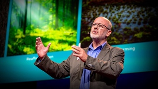 Can seaweed help curb global warming | Tim Flannery