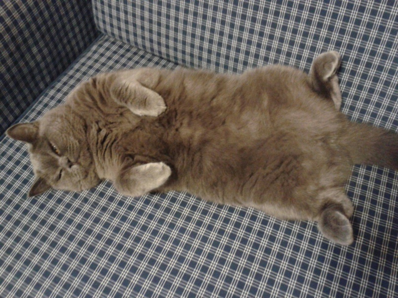 Ольга Князькова | Зарубино