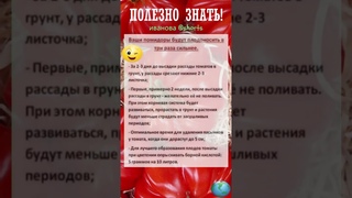 ПОЛЕЗНО ЗНАТЬ! Советы огородников №26 #shorts #рецепты #советы