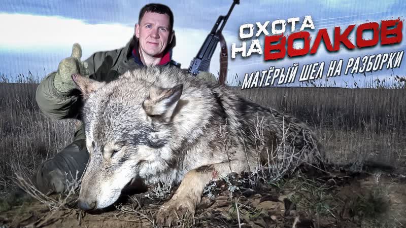 охота на ШЕЛ