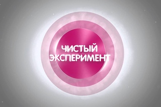 Чистый эксперимент: как избавиться от следов хорошо проведенного мальчишника?
