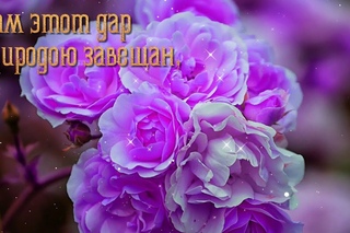 Ты не кляни свои года напрасно!
