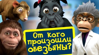 От кого произошли обезьяны | Андрей, Маруся и другие обезьяны | 3-я серия