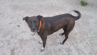 PASQUALI el number 1